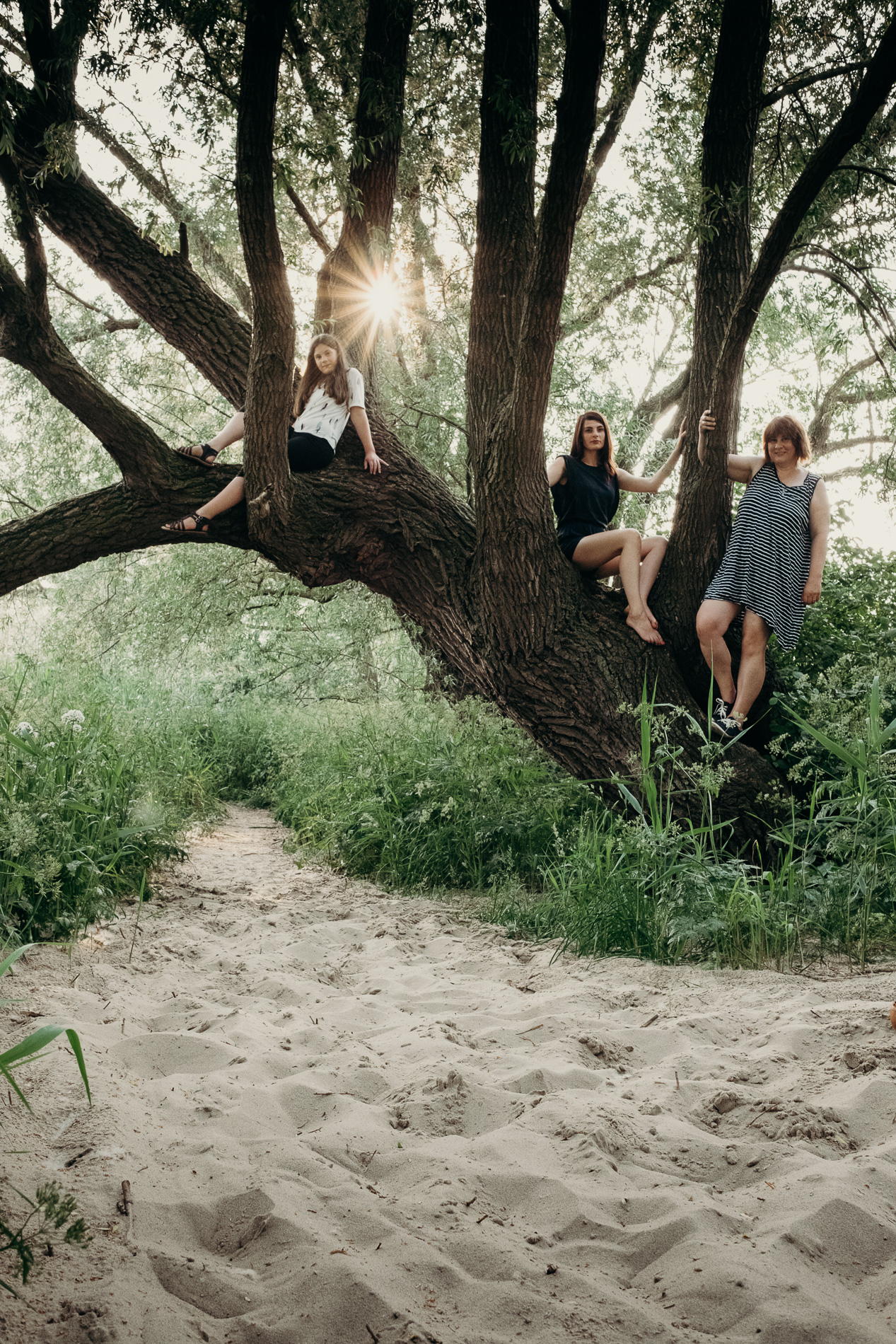 Q&A zum Projekt „Frauen auf Bäumen – ein Revival“